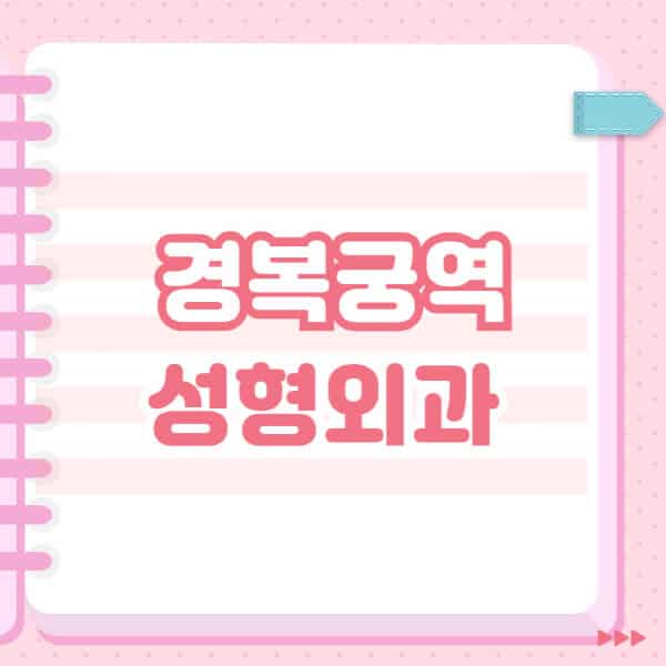 경복궁역-성형외과-유명한-잘하는-곳-추천-일요일-전문의-블랙리스트-코-눈-얼굴-보톡스-필러-쌍커풀-후기