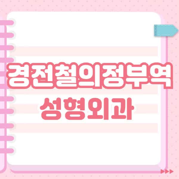 경전철의정부역-성형외과-유명한-잘하는-곳-추천-일요일-전문의-블랙리스트-코-눈-얼굴-보톡스-필러-쌍커풀-후기
