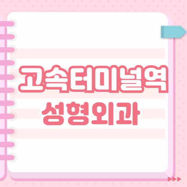 고속터미널역-성형외과-유명한-잘하는-곳-추천-일요일-전문의-블랙리스트-코-눈-얼굴-보톡스-필러-쌍커풀-후기