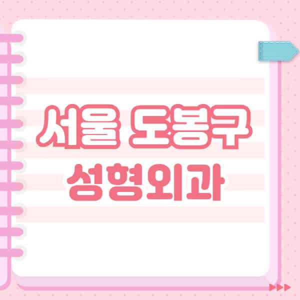 서울-도봉구-성형외과-유명한-잘하는-곳-추천-일요일-전문의-블랙리스트-코-눈-얼굴-보톡스-필러-쌍커풀-후기