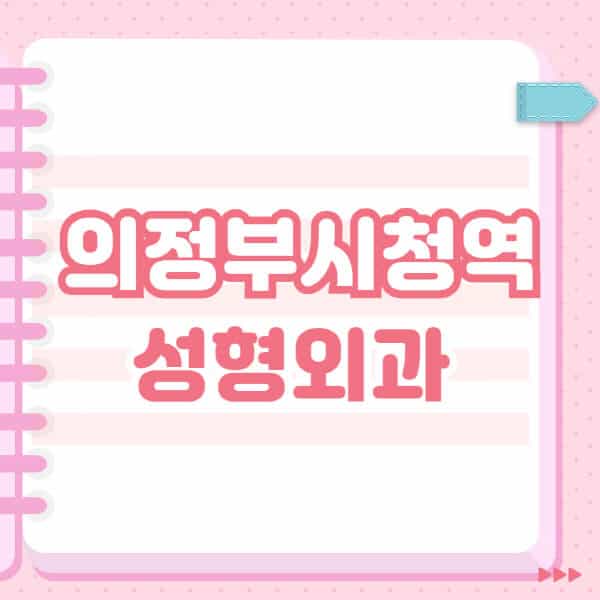 의정부시청역-성형외과-유명한-잘하는-곳-추천-일요일-전문의-블랙리스트-코-눈-얼굴-보톡스-필러-쌍커풀-후기