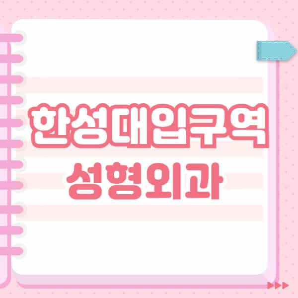 한성대입구역-성형외과-유명한-잘하는-곳-추천-일요일-전문의-블랙리스트-코-눈-얼굴-보톡스-필러-쌍커풀-후기
