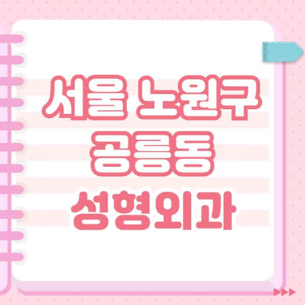 서울-노원구-공릉동-성형외과-유명한-잘하는-곳-추천-일요일-전문의-블랙리스트-코-눈-얼굴-보톡스-필러-쌍커풀-후기