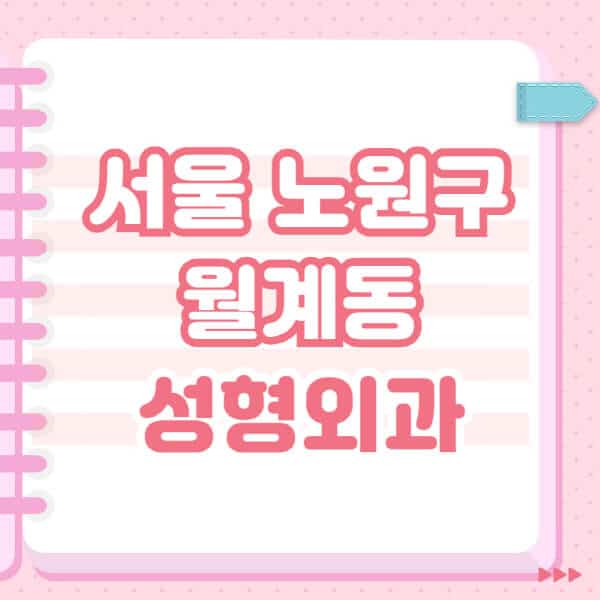 서울-노원구-월계동-성형외과-유명한-잘하는-곳-추천-일요일-전문의-블랙리스트-코-눈-얼굴-보톡스-필러-쌍커풀-후기