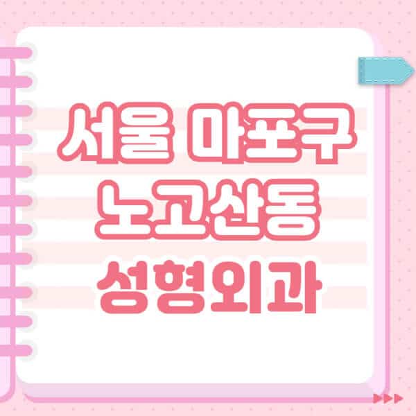 서울-마포구-노고산동-성형외과-유명한-잘하는-곳-추천-일요일-전문의-블랙리스트-코-눈-얼굴-보톡스-필러-쌍커풀-후기