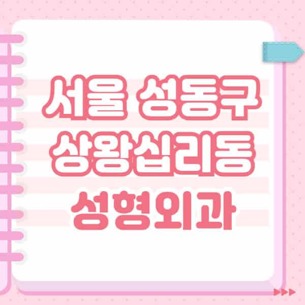 서울-성동구-상왕십리동-성형외과-유명한-잘하는-곳-추천-일요일-전문의-블랙리스트-코-눈-얼굴-보톡스-필러-쌍커풀-후기