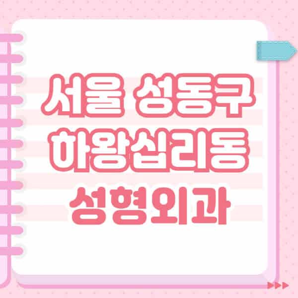 서울-성동구-하왕십리동-성형외과-유명한-잘하는-곳-추천-일요일-전문의-블랙리스트-코-눈-얼굴-보톡스-필러-쌍커풀-후기