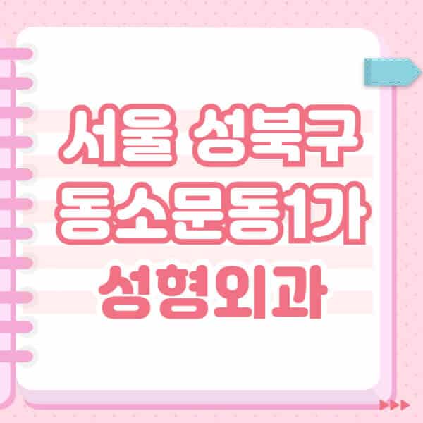 서울-성북구-동소문동1가-성형외과-유명한-잘하는-곳-추천-일요일-전문의-블랙리스트-코-눈-얼굴-보톡스-필러-쌍커풀-후기