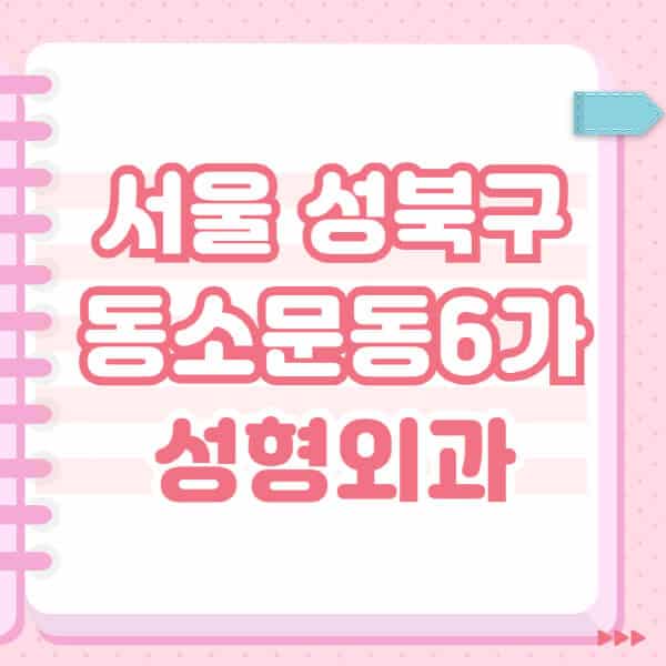 서울-성북구-동소문동6가-성형외과-유명한-잘하는-곳-추천-일요일-전문의-블랙리스트-코-눈-얼굴-보톡스-필러-쌍커풀-후기
