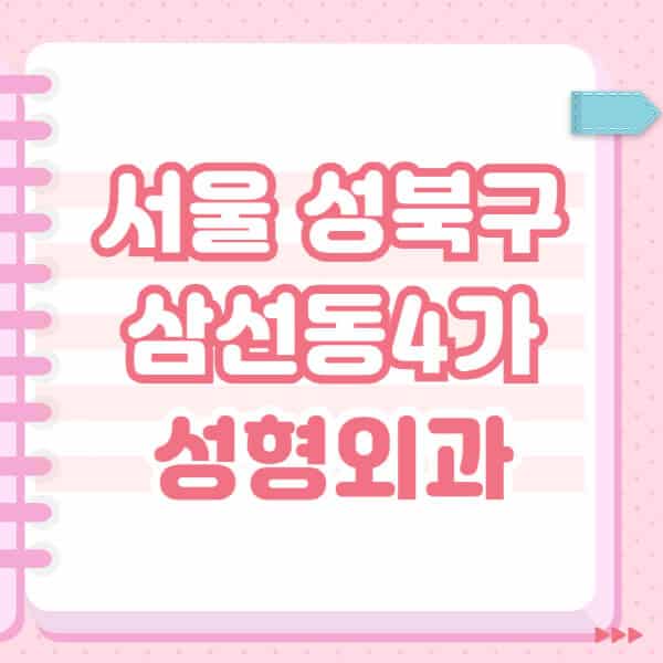 서울-성북구-삼선동4가-성형외과-유명한-잘하는-곳-추천-일요일-전문의-블랙리스트-코-눈-얼굴-보톡스-필러-쌍커풀-후기
