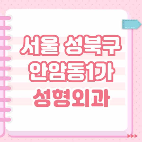 서울-성북구-안암동1가-성형외과-유명한-잘하는-곳-추천-일요일-전문의-블랙리스트-코-눈-얼굴-보톡스-필러-쌍커풀-후기