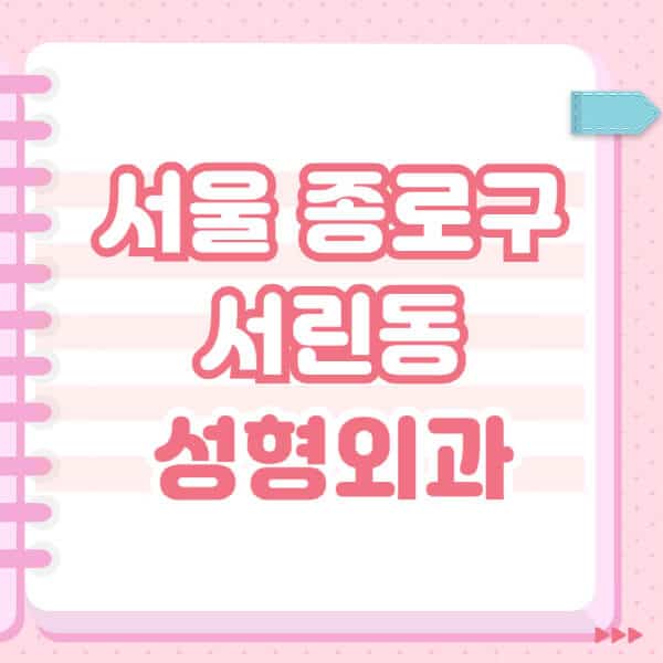 서울-종로구-서린동-성형외과-유명한-잘하는-곳-추천-일요일-전문의-블랙리스트-코-눈-얼굴-보톡스-필러-쌍커풀-후기