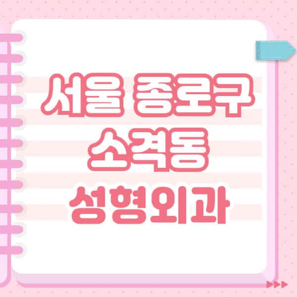 서울-종로구-소격동-성형외과-유명한-잘하는-곳-추천-일요일-전문의-블랙리스트-코-눈-얼굴-보톡스-필러-쌍커풀-후기