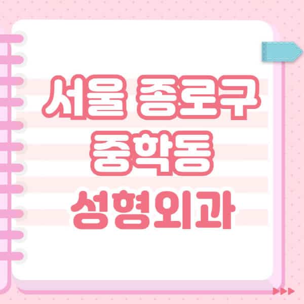 서울-종로구-중학동-성형외과-유명한-잘하는-곳-추천-일요일-전문의-블랙리스트-코-눈-얼굴-보톡스-필러-쌍커풀-후기