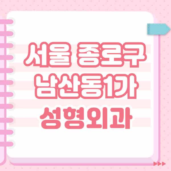 서울-중구-남산동1가-성형외과-유명한-잘하는-곳-추천-일요일-전문의-블랙리스트-코-눈-얼굴-보톡스-필러-쌍커풀-후기