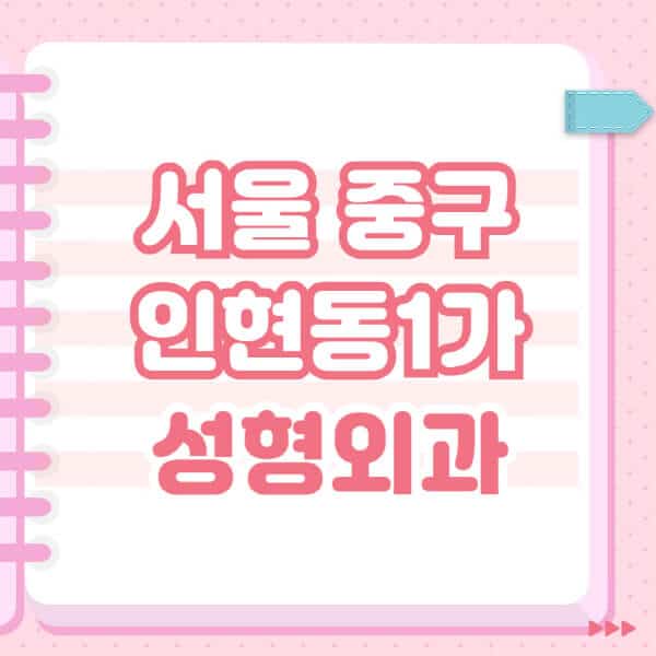서울-중구-인현동1가-성형외과-유명한-잘하는-곳-추천-일요일-전문의-블랙리스트-코-눈-얼굴-보톡스-필러-쌍커풀-후기
