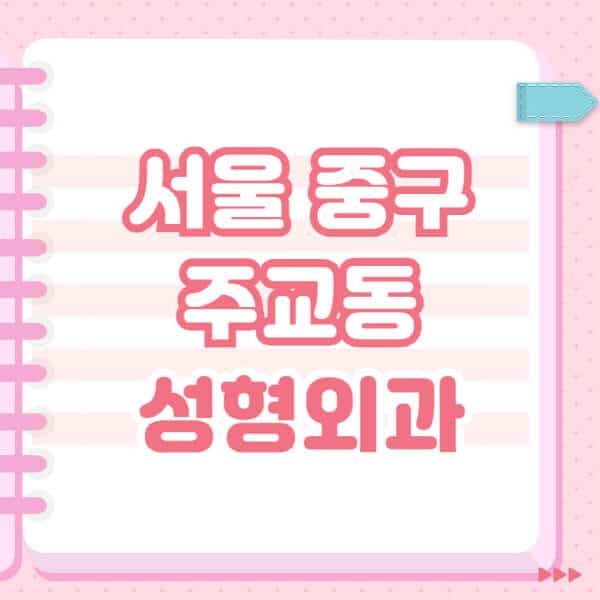 서울-중구-주교동-성형외과-유명한-잘하는-곳-추천-일요일-전문의-블랙리스트-코-눈-얼굴-보톡스-필러-쌍커풀-후기