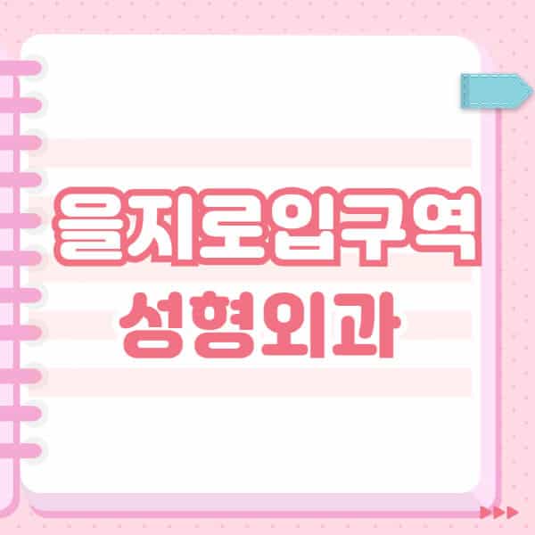 을지로입구역-성형외과-유명한-잘하는-곳-추천-일요일-전문의-블랙리스트-코-눈-얼굴-보톡스-필러-쌍커풀-후기